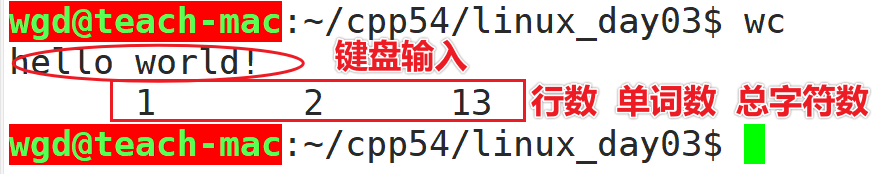wc指令示意图